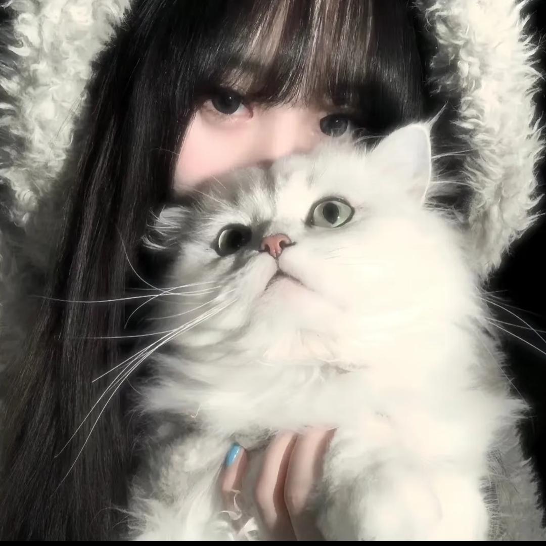 如星.🦋
