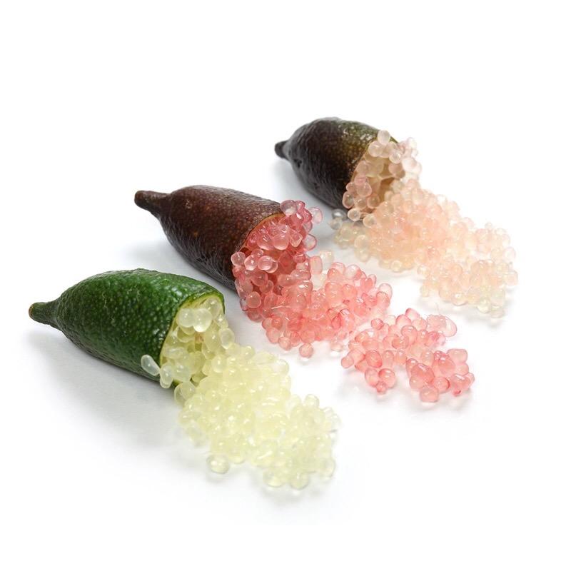 果木岛冬晏果树苗木专卖店