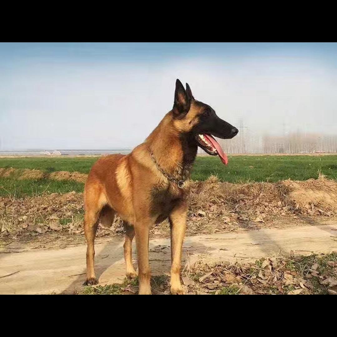 不要用伪装来麻痹我