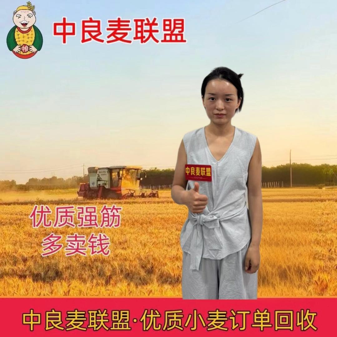 中良麦联盟（魏庆峰粮贸）
