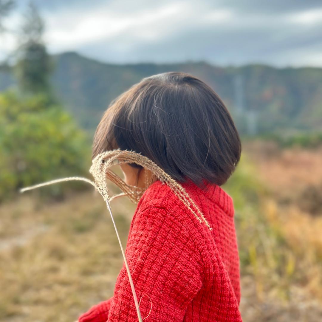 洛洛米