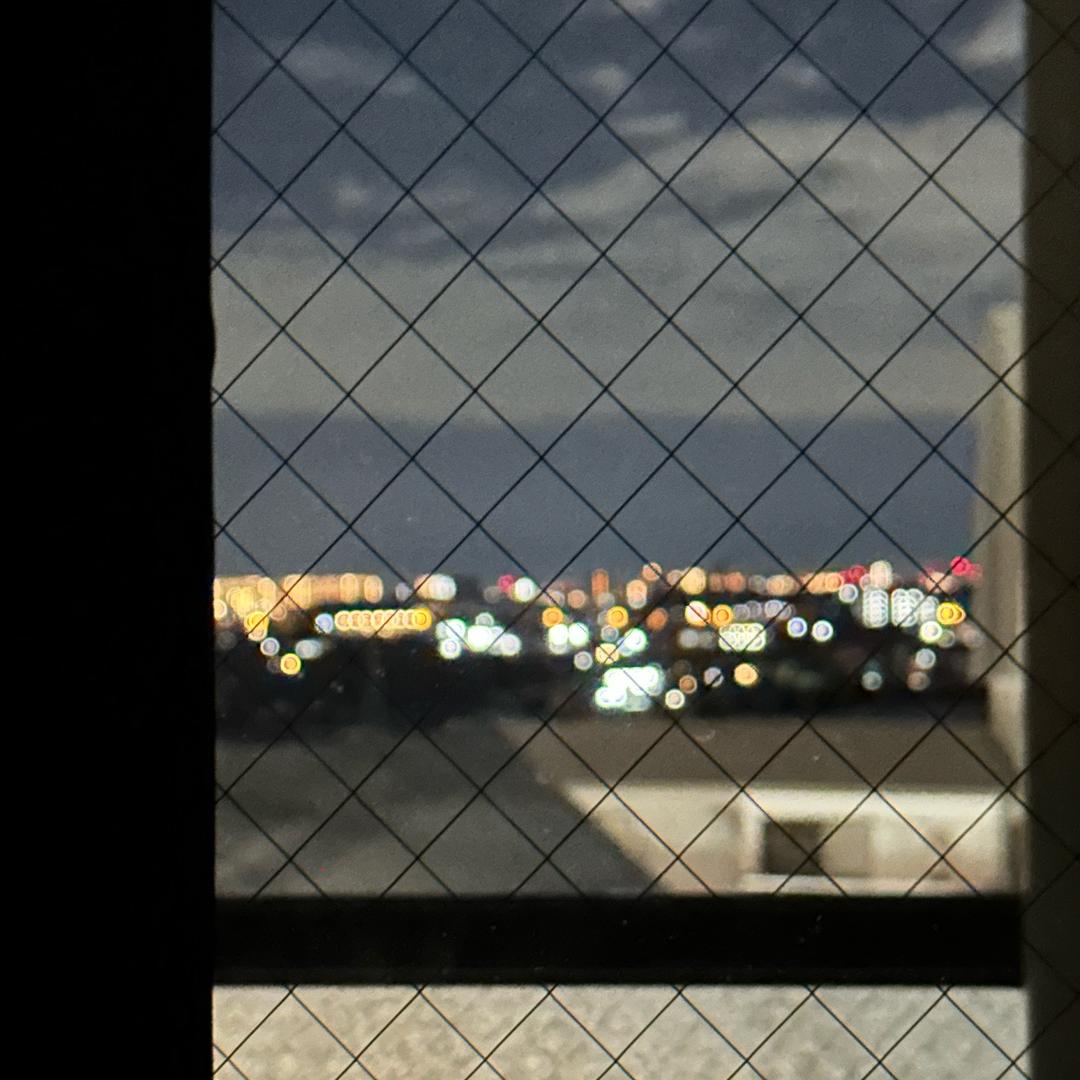 東京悍匪