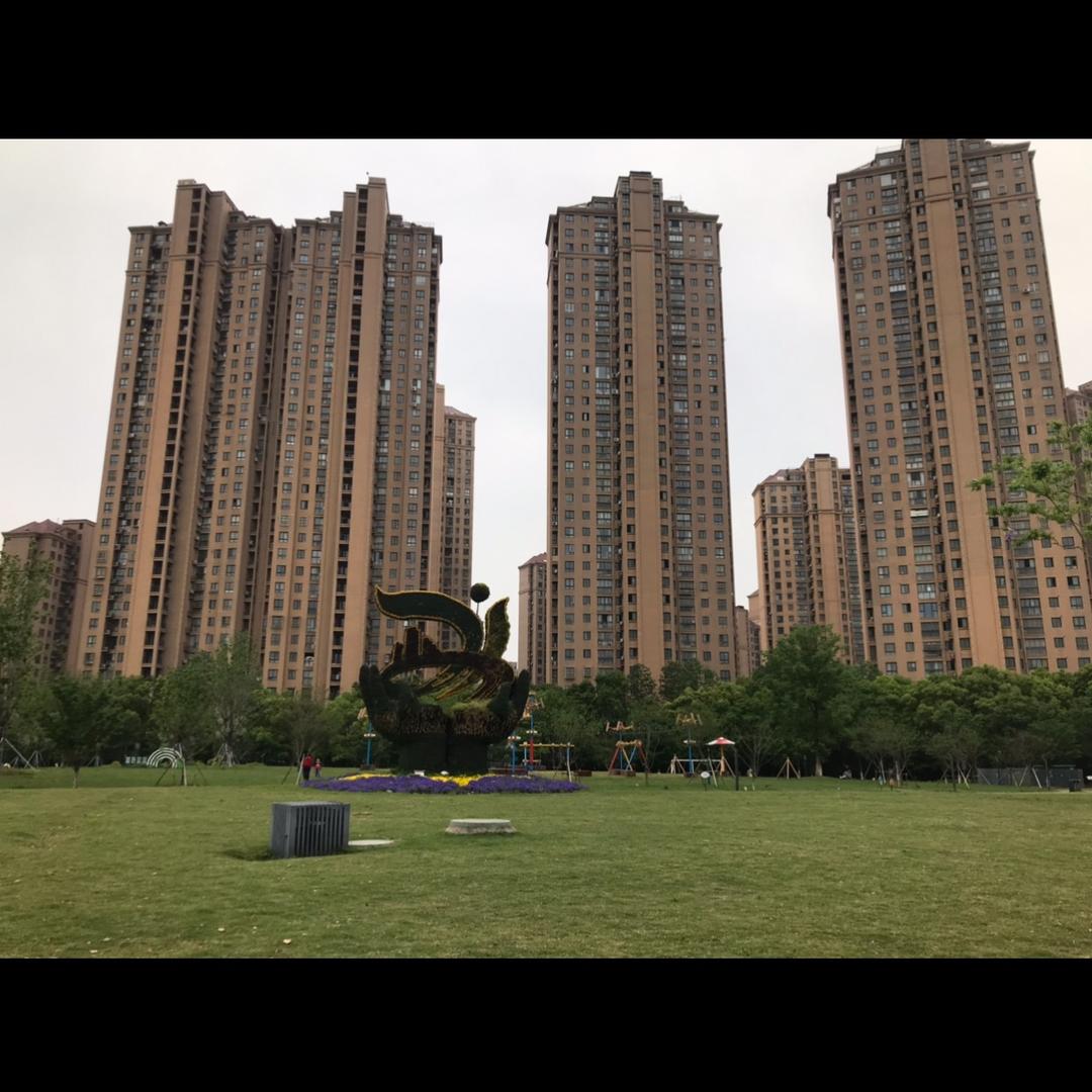 蒲公英的种子