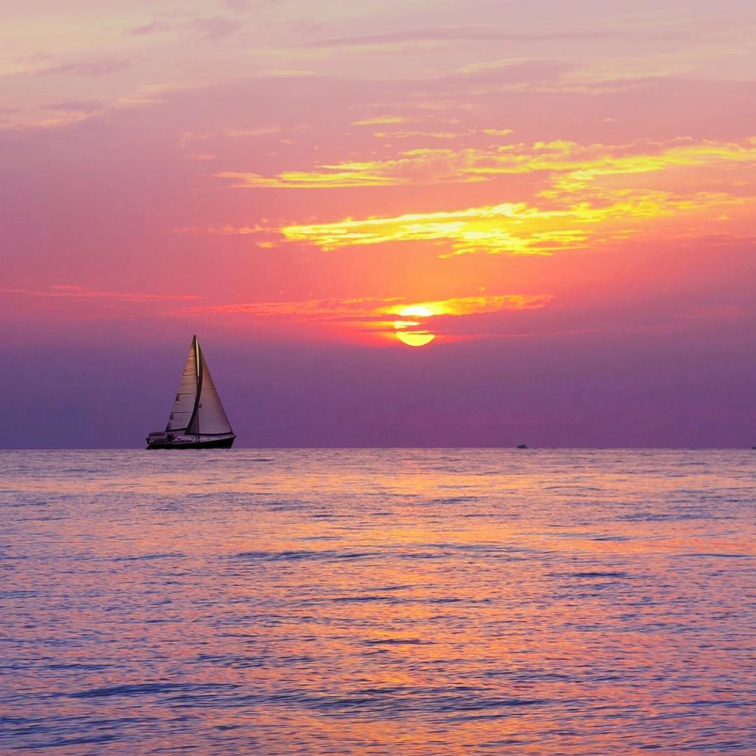 露露爱分享❤️