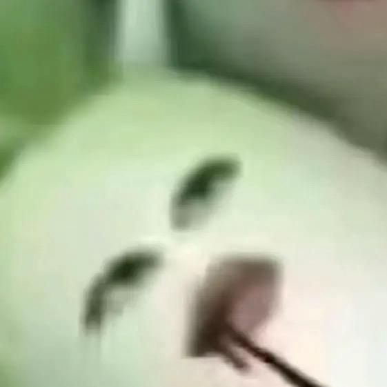 喵喵喵🫧