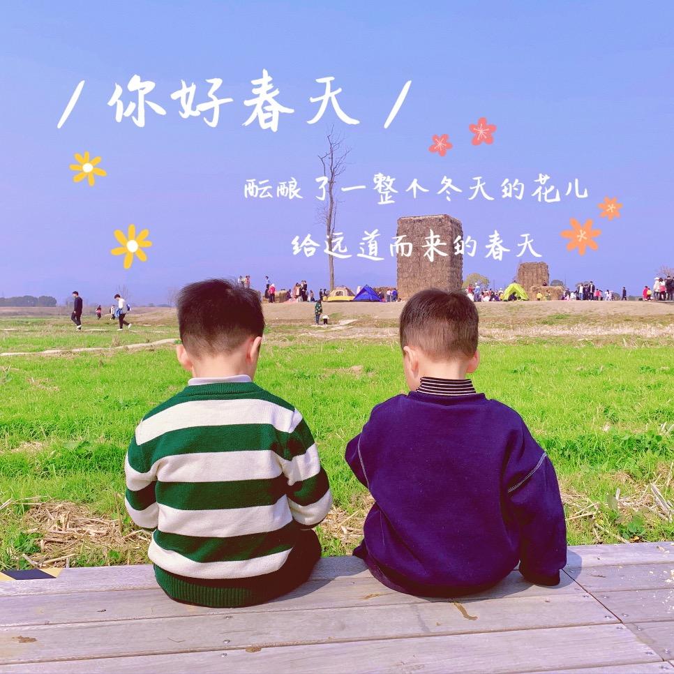 番茄