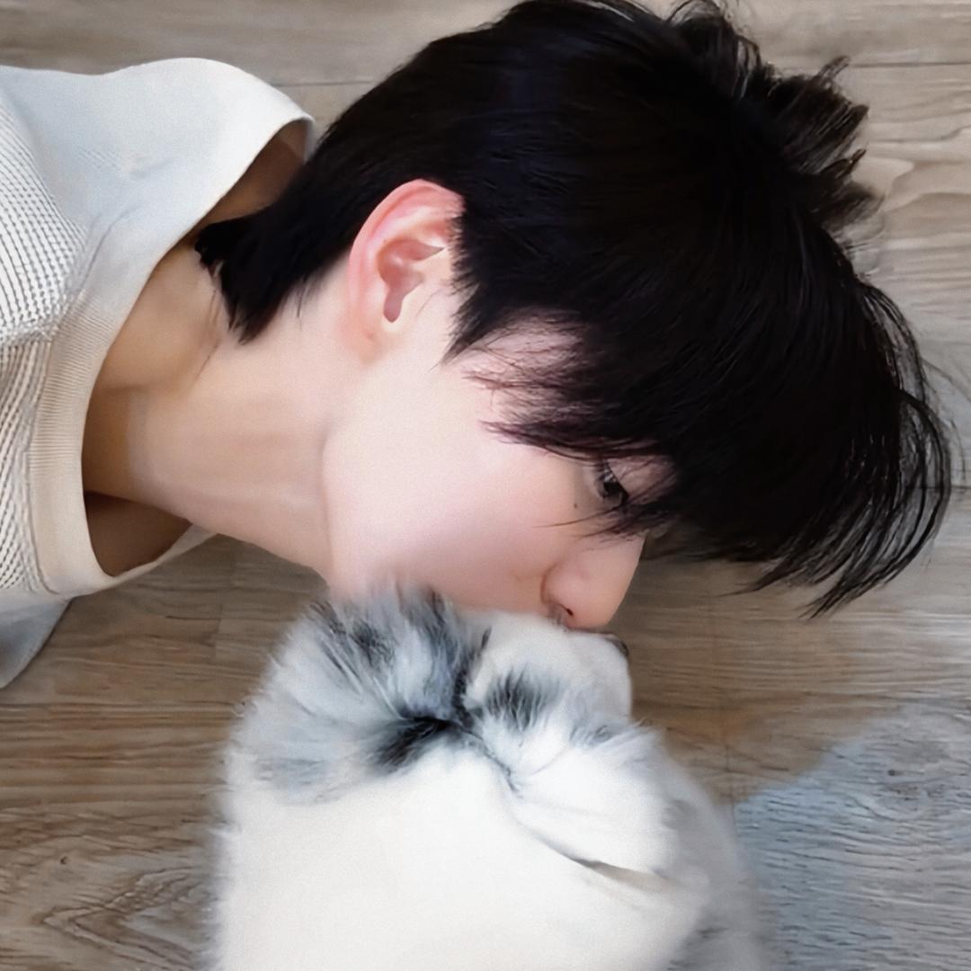 𝐈.𝐕.𝐘