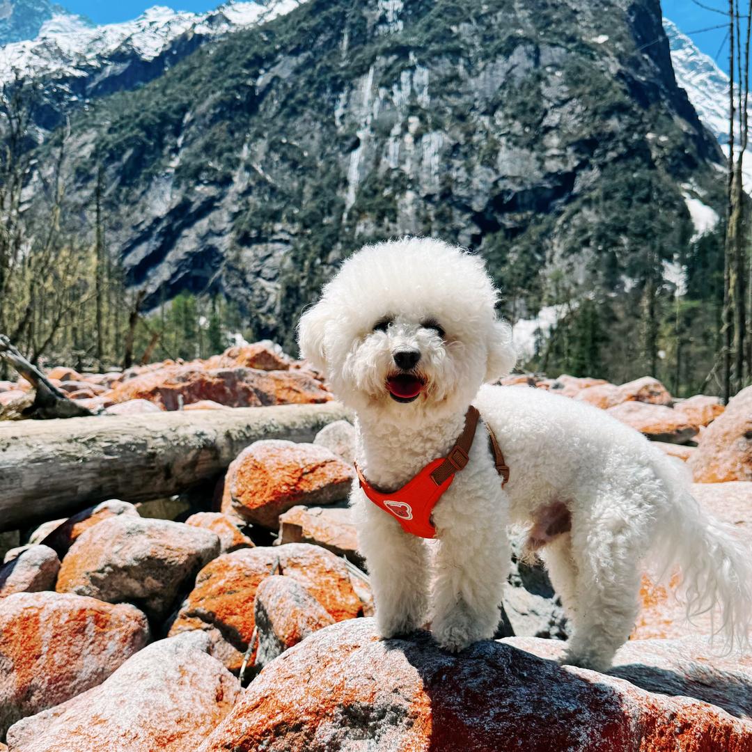 二一的小家生活