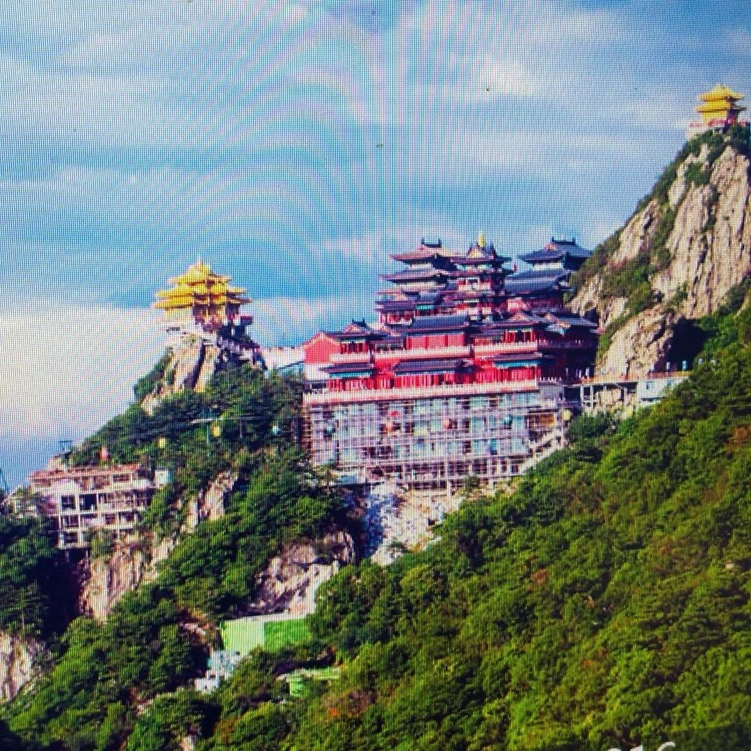 乐长川鑫-小叶直播号