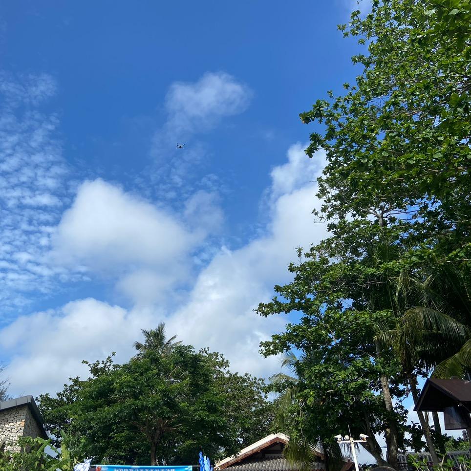 山西河东娃在海南