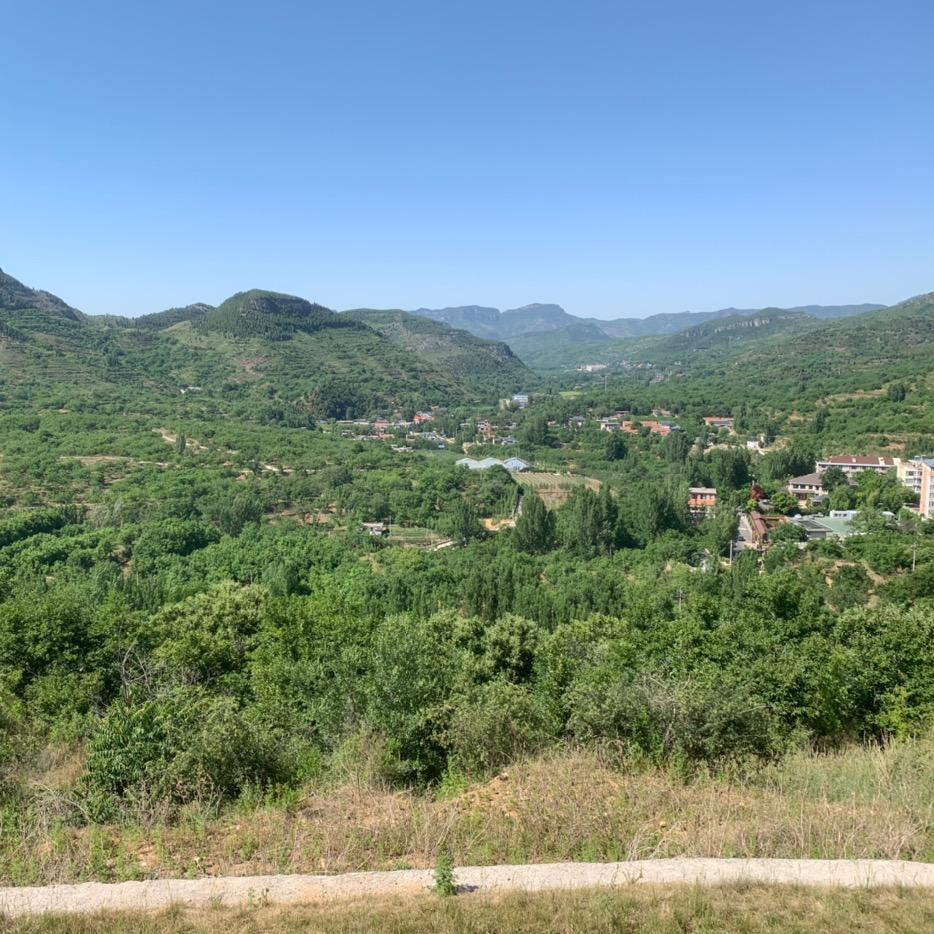 哈哈哈哈(●'◡'●)