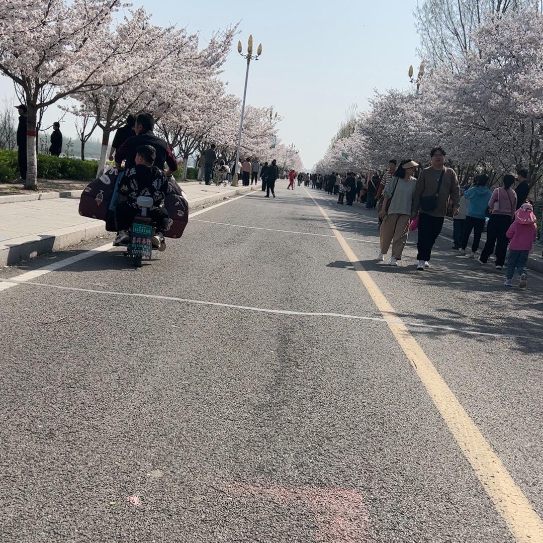 撒气包
