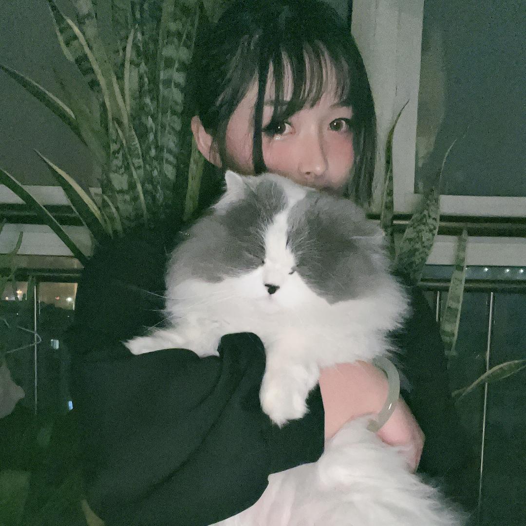 兔子🐰
