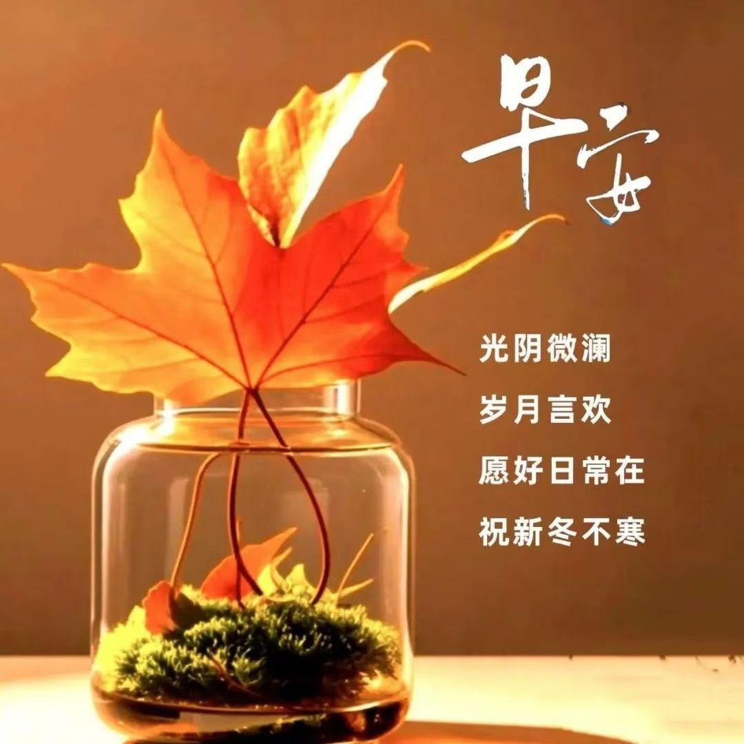 清风淡然