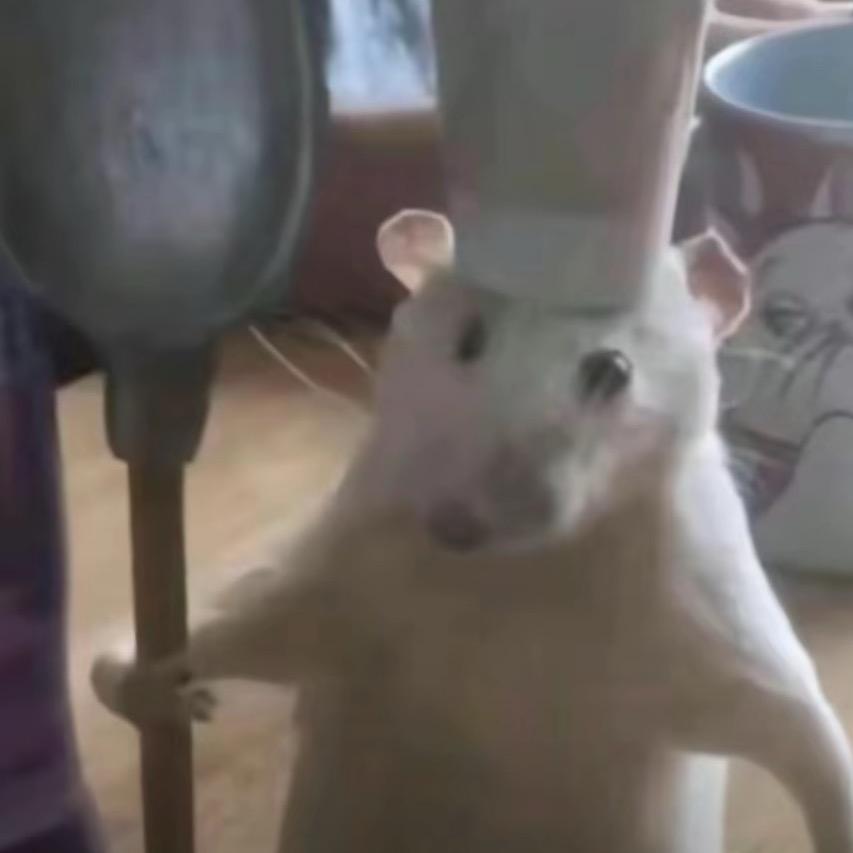 ._