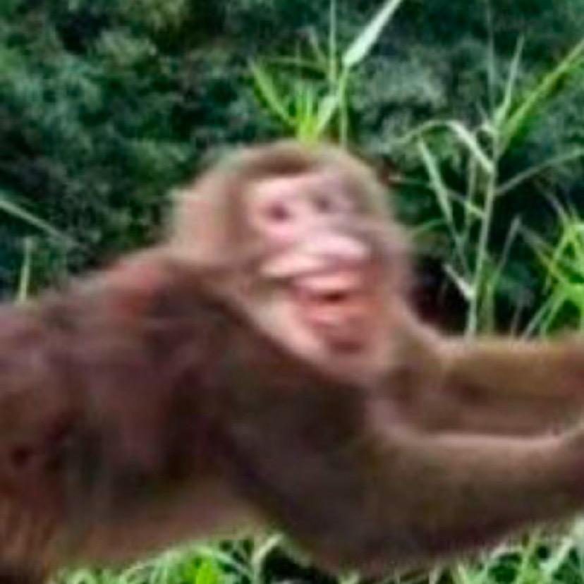 拖把沾屎犹如吕布在世