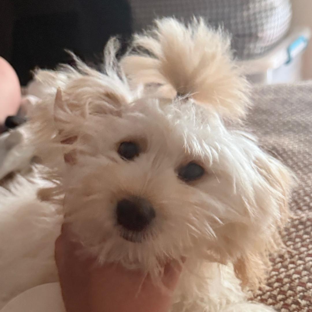 杉杉