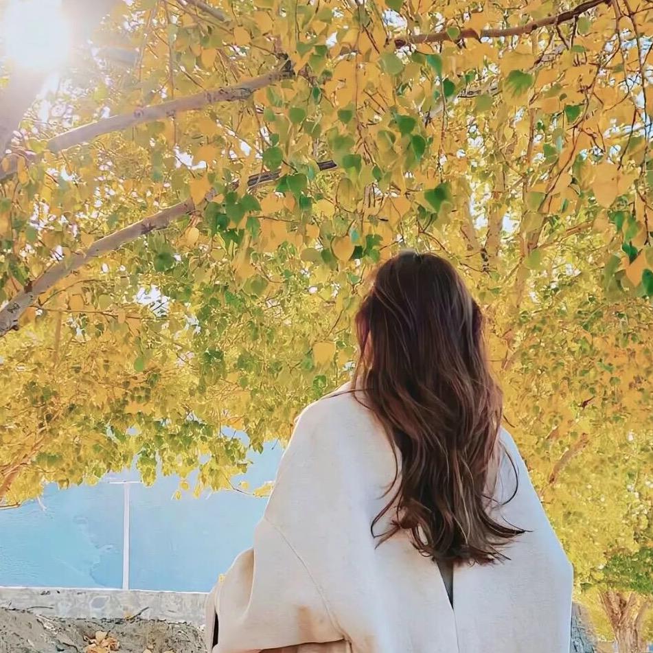维维甄选