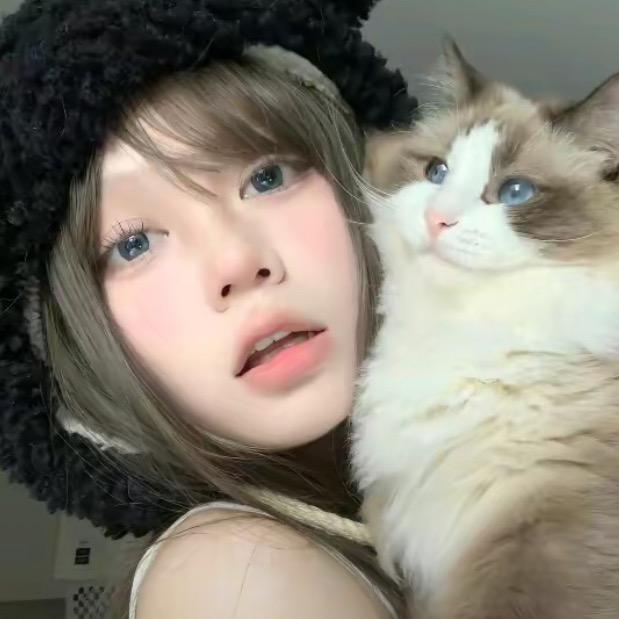 失眠小羊.