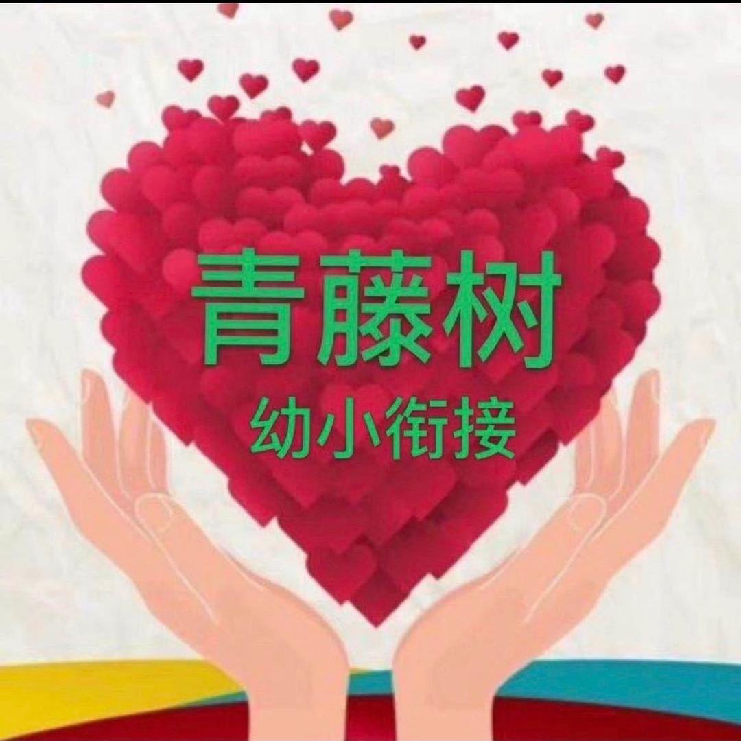 萧县青藤树幼小衔接