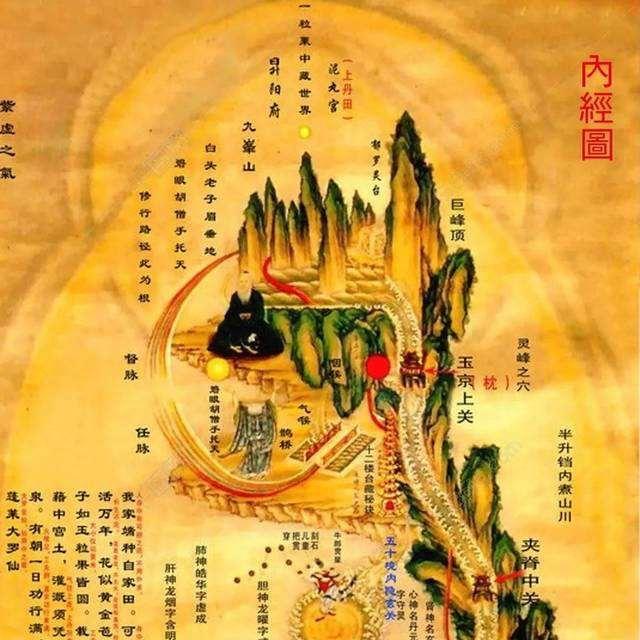 仲景之智