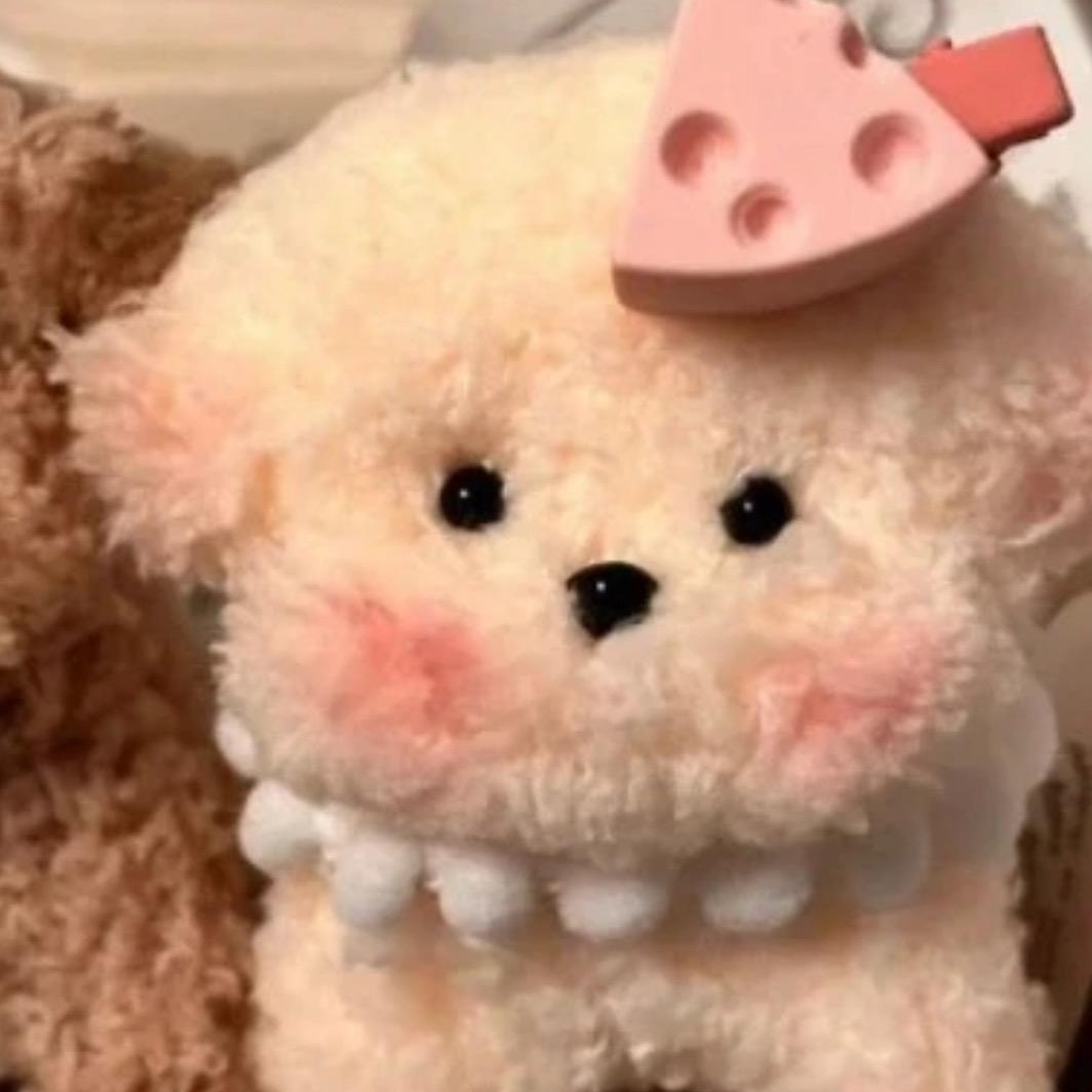 小羊喵喵.🐑