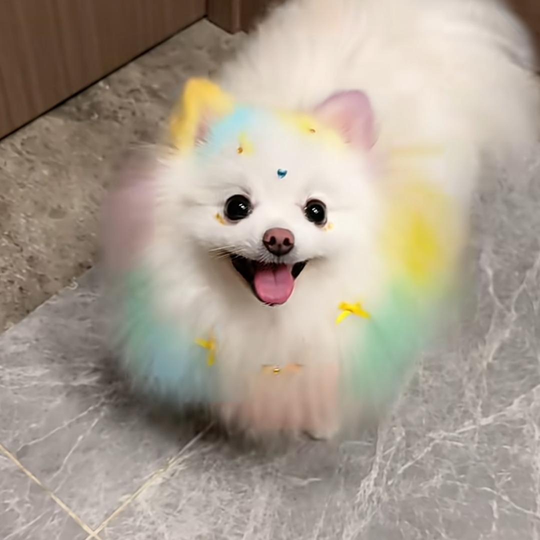 嘿嘿.