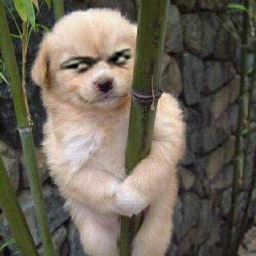 多次婉拒李知恩