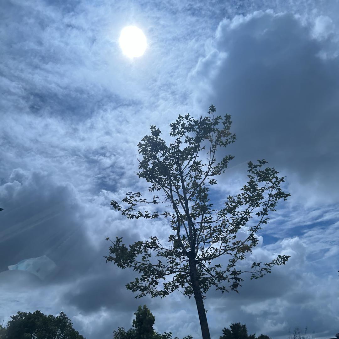 谷城映百货精选