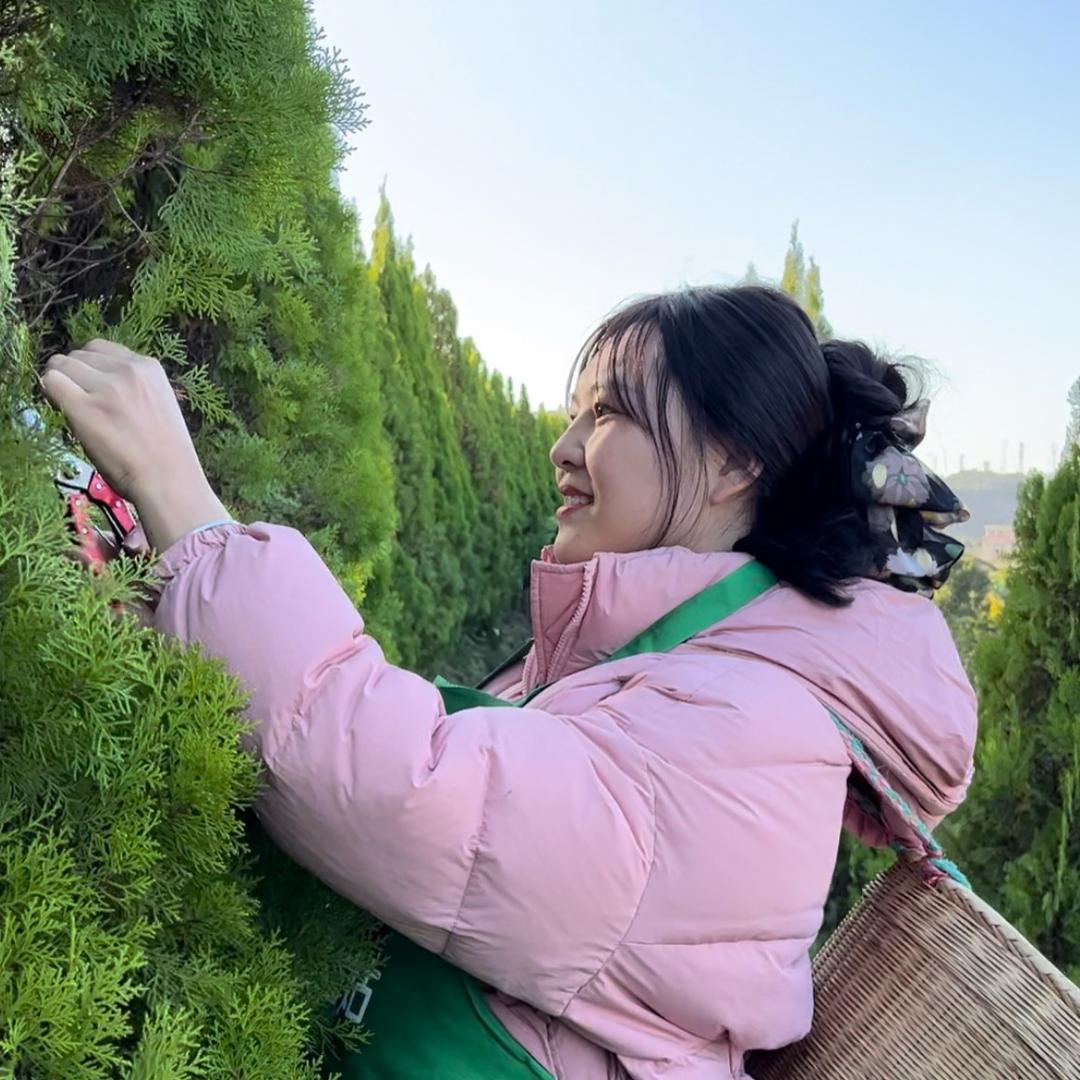 🌳侧柏叶植物洗发水(在橱窗拍)