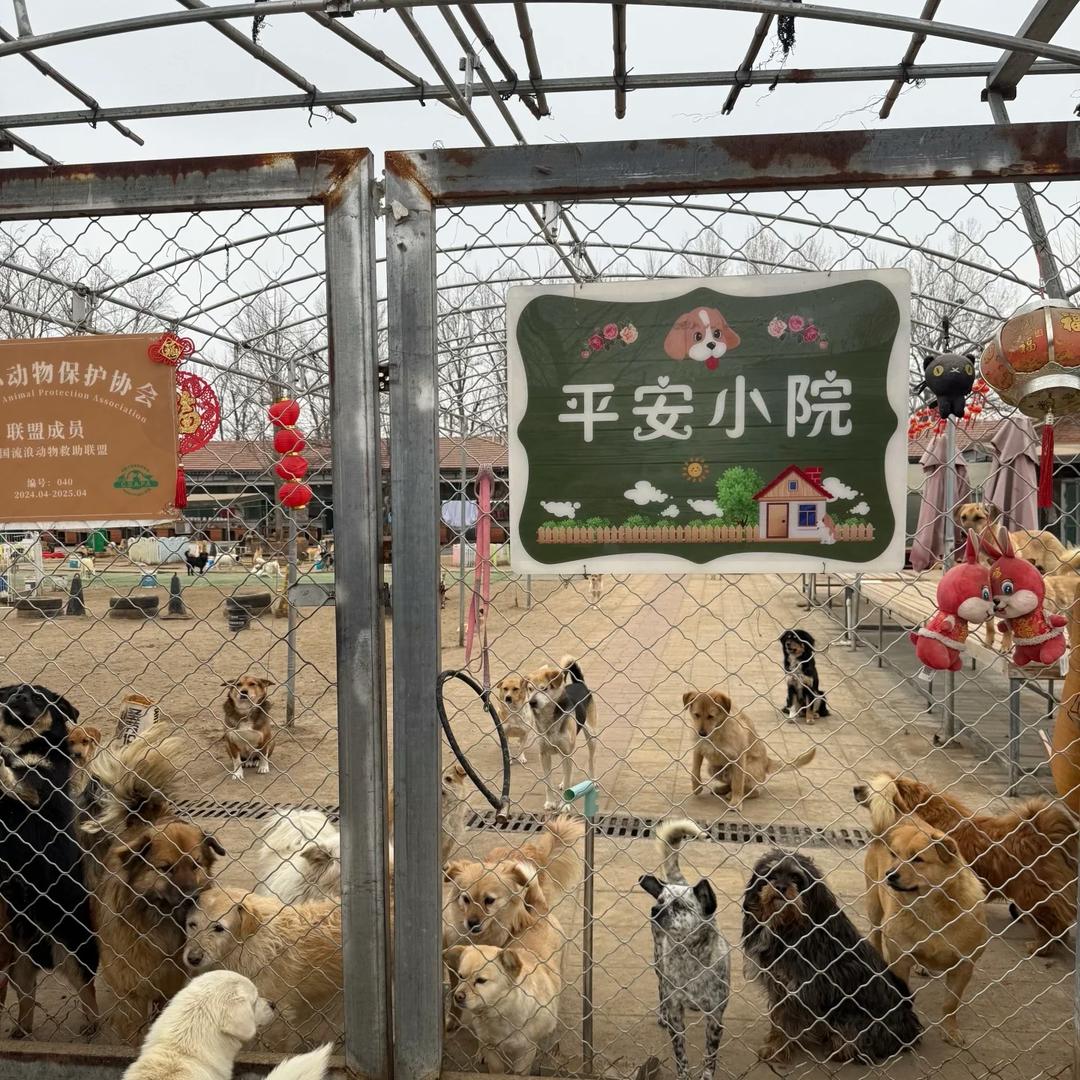 要资料左上角关注主播