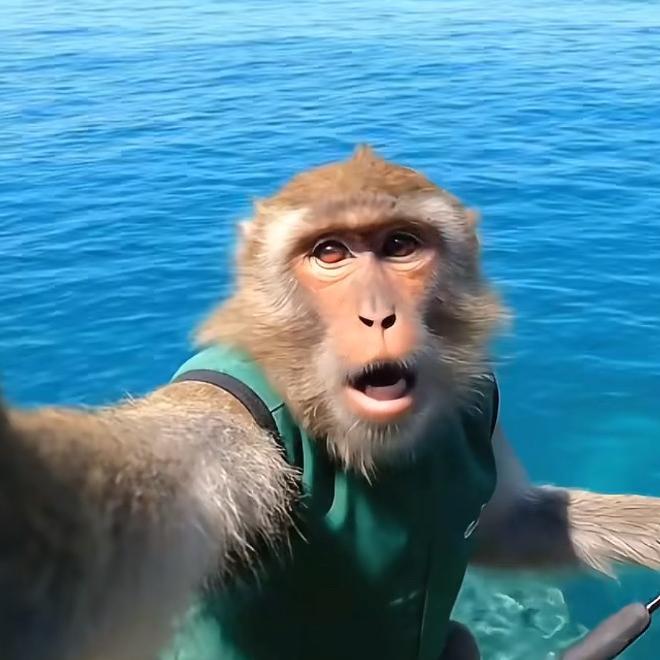 瘦巴巴的老爷们