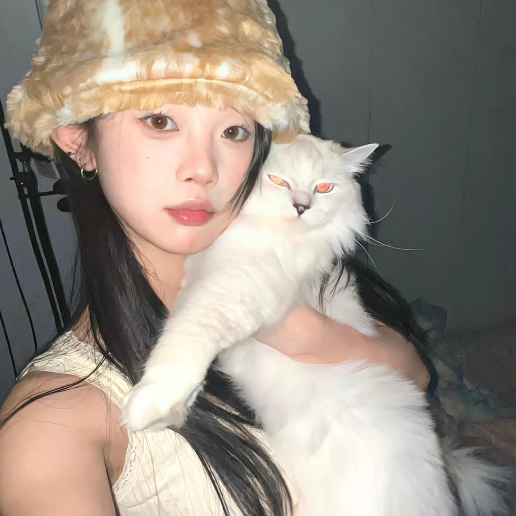 糕冷火鸡面🍜