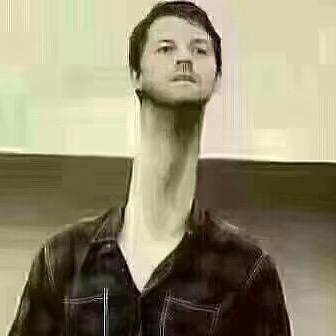 总裁人生㈡手车