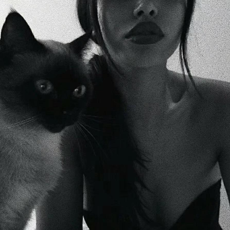 是蒙根花儿呀🖤