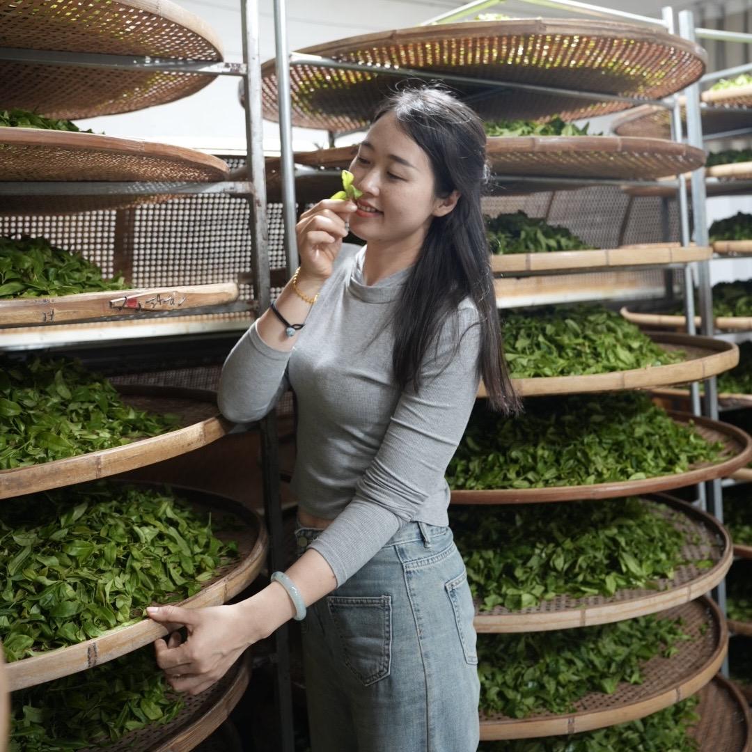 聚缘茶叶