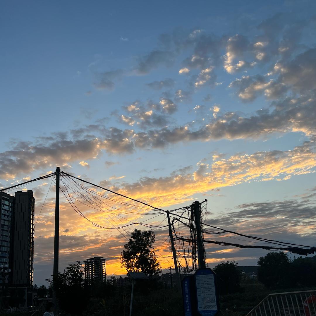 研发校队