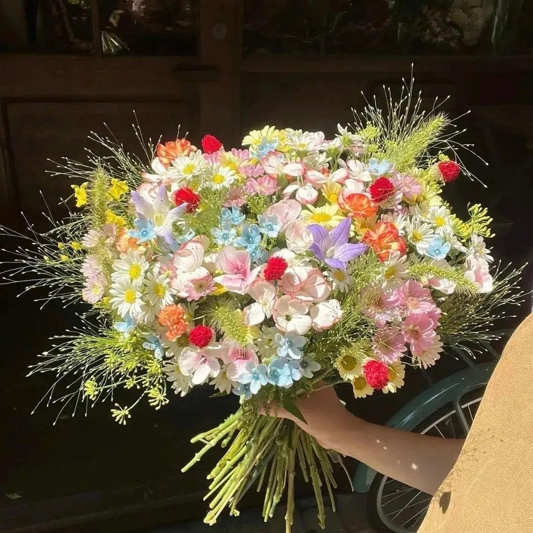 ꧔ꦿ᭄ 下雪了哦