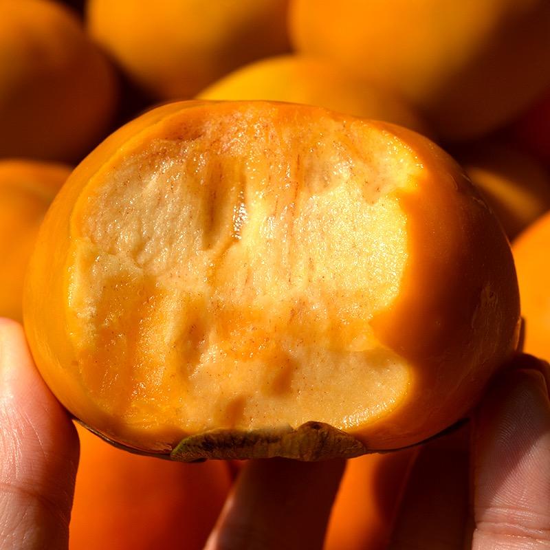 巧克力脆甜柿子（脆甜不涩好吃不贵）