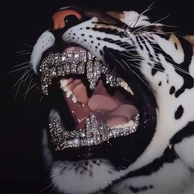 北少👊