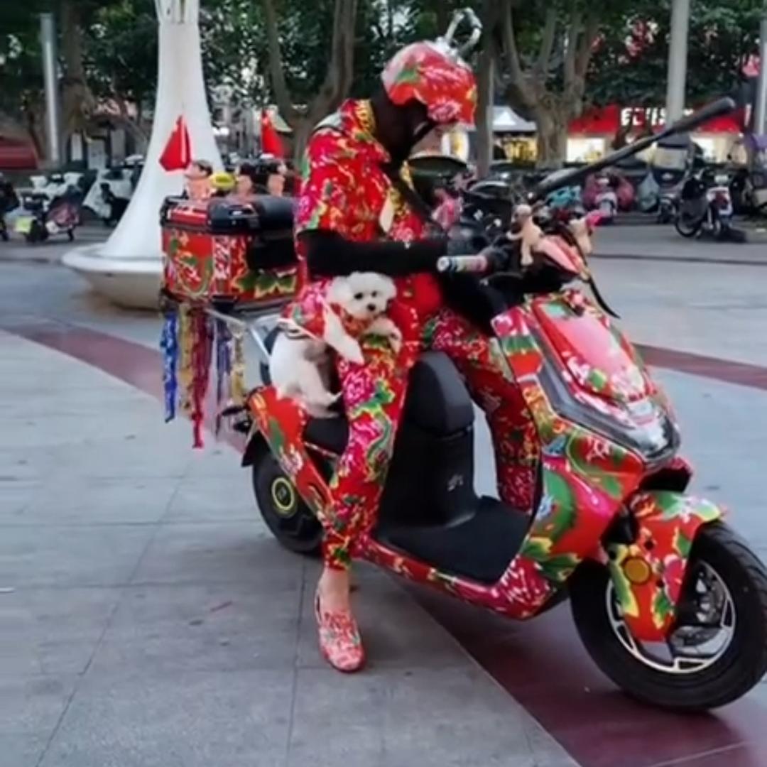沭阳大熊