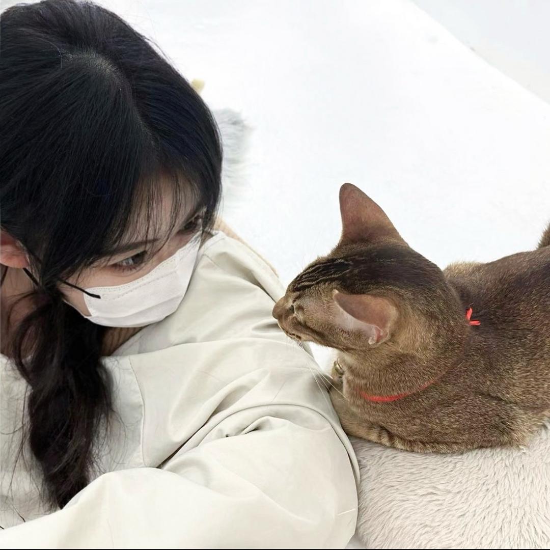 古德猫妮^ 🎀