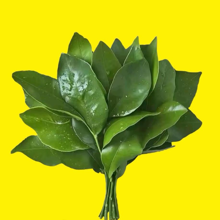 彤呈(麻麻)