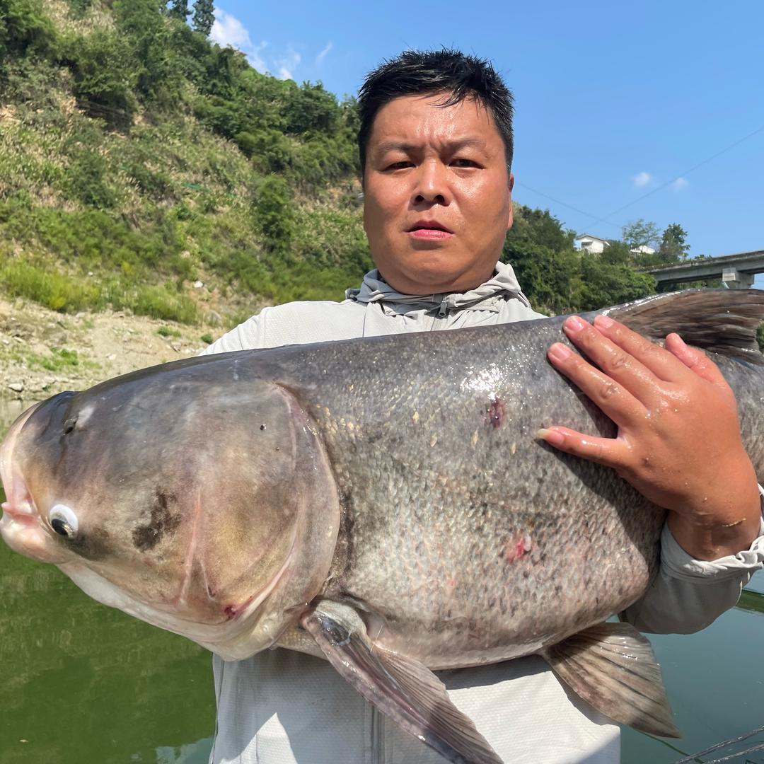 李大头钓鱼