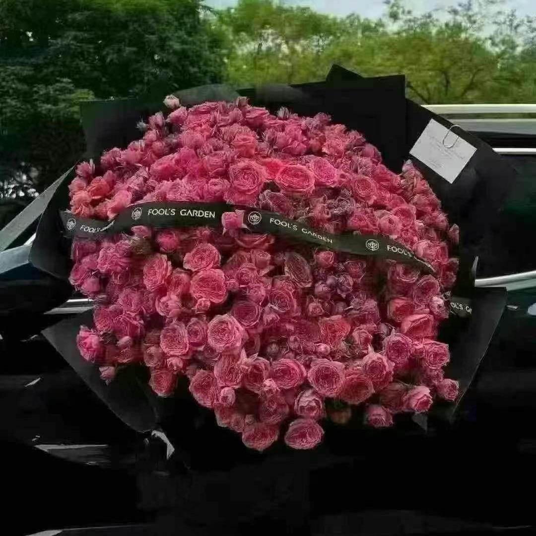 浅浅🌸