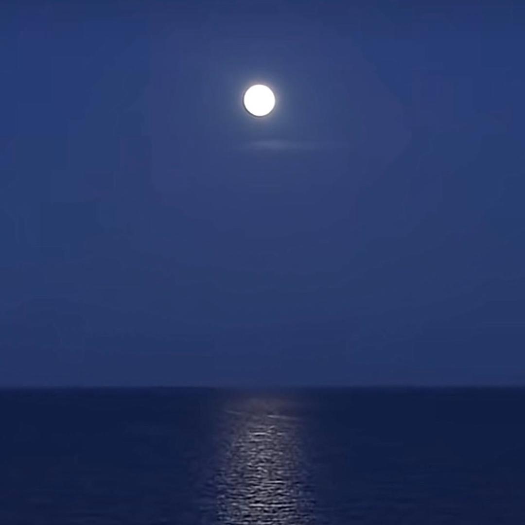 阳光果粒（陈）