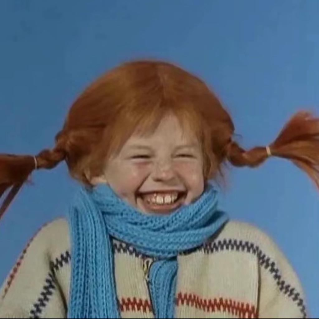 刘某某的自励日记🌾