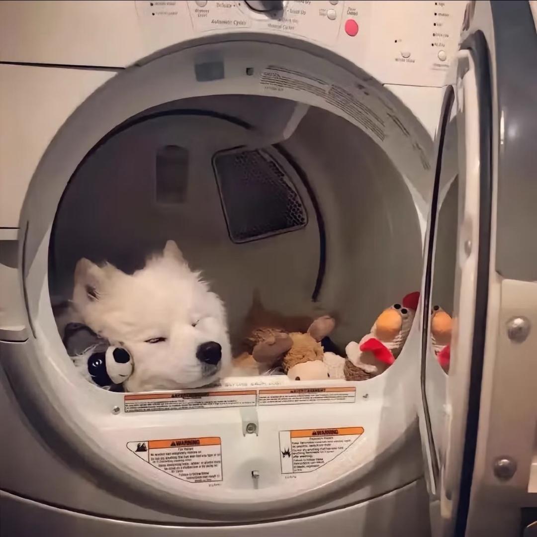 🥖•͈̑ ᴥ •͈̑🌭