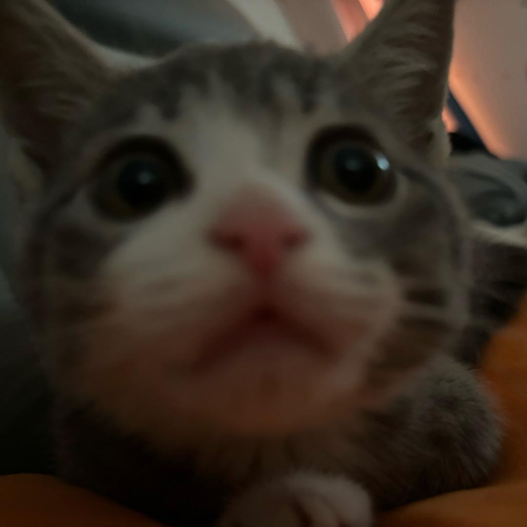 bai