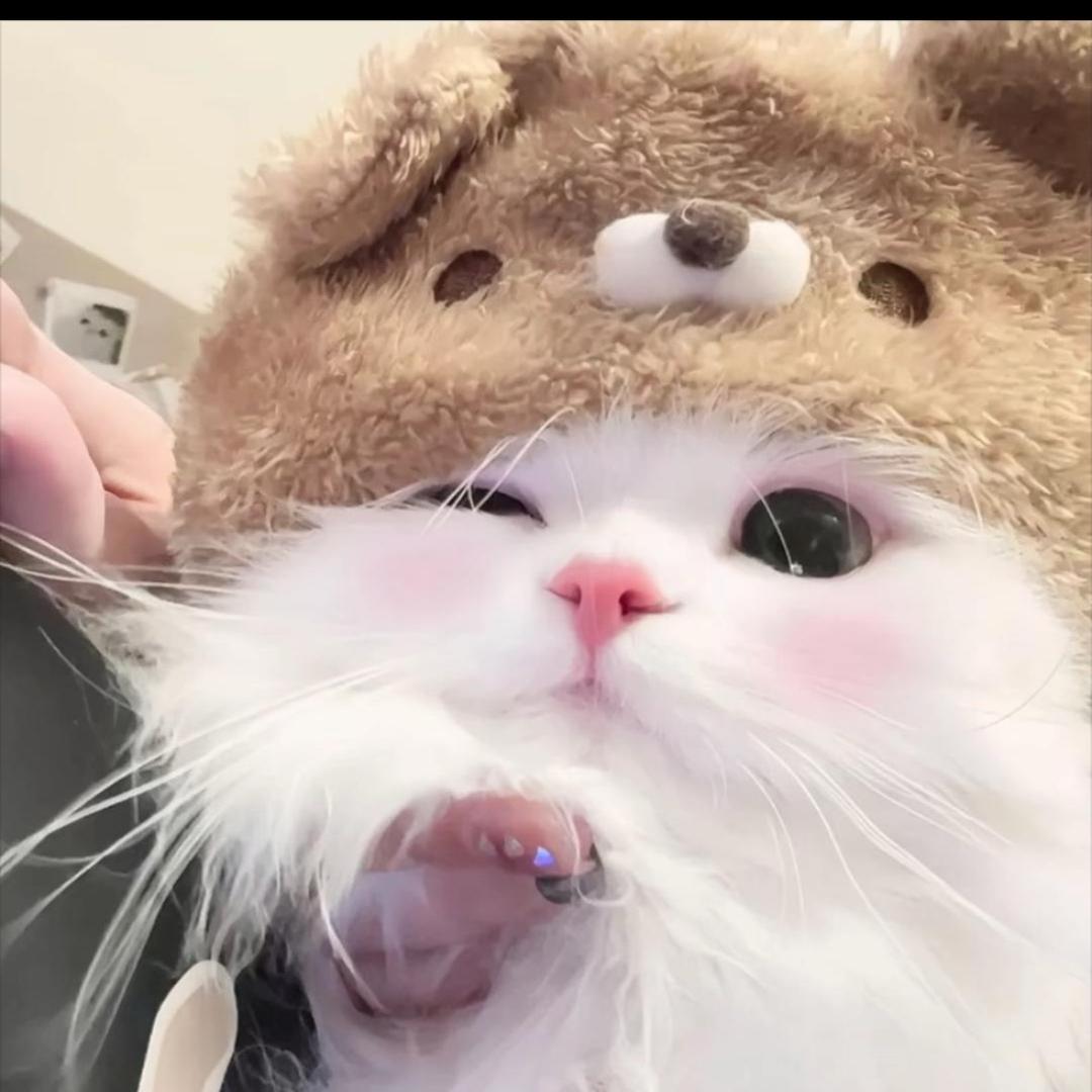 小依大王